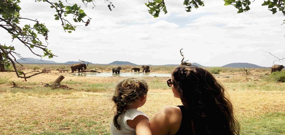 Safari en France : est-ce possible ?