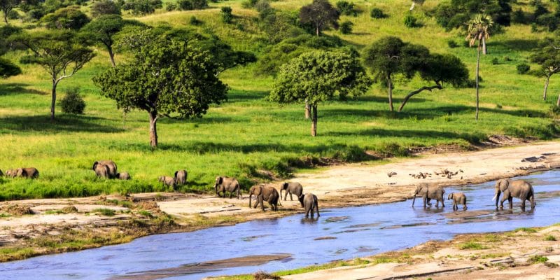 Voyage en Tanzanie : comment bien le préparer ?